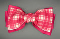 Vera - Cranberry Plaid