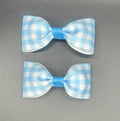 Jane - Blue Gingham