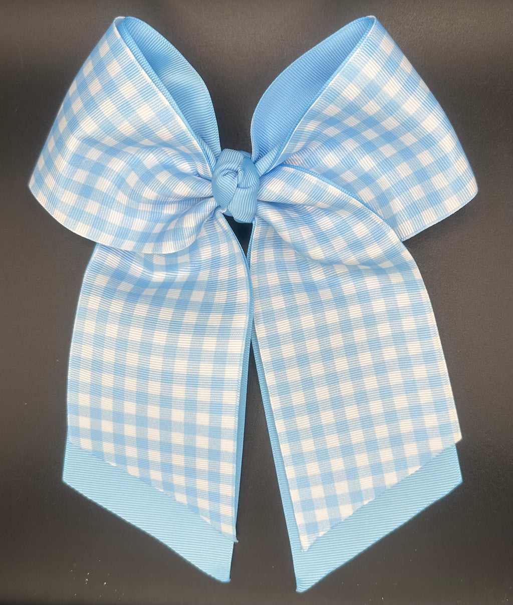 Kelli Anne - Blue Gingham