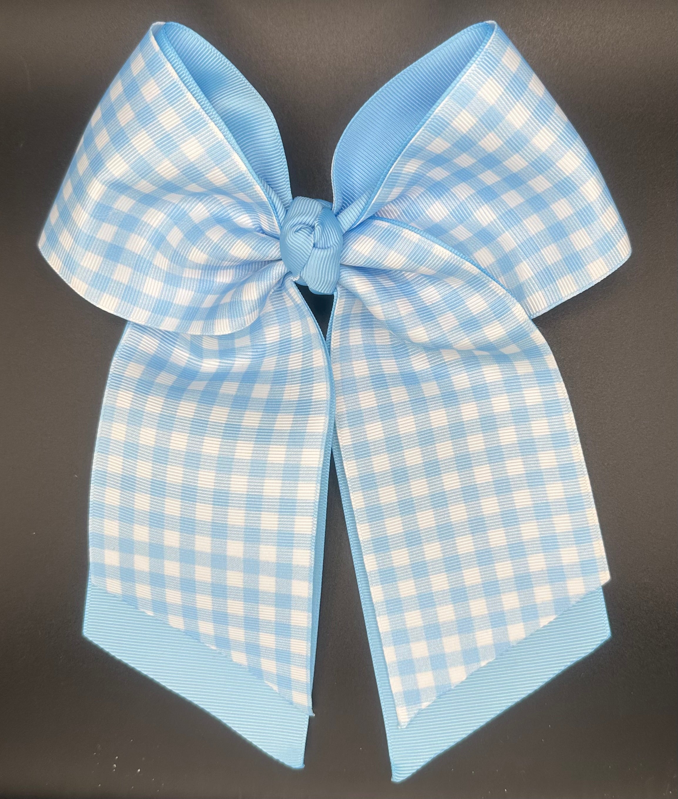 Kelli Anne - Blue Gingham