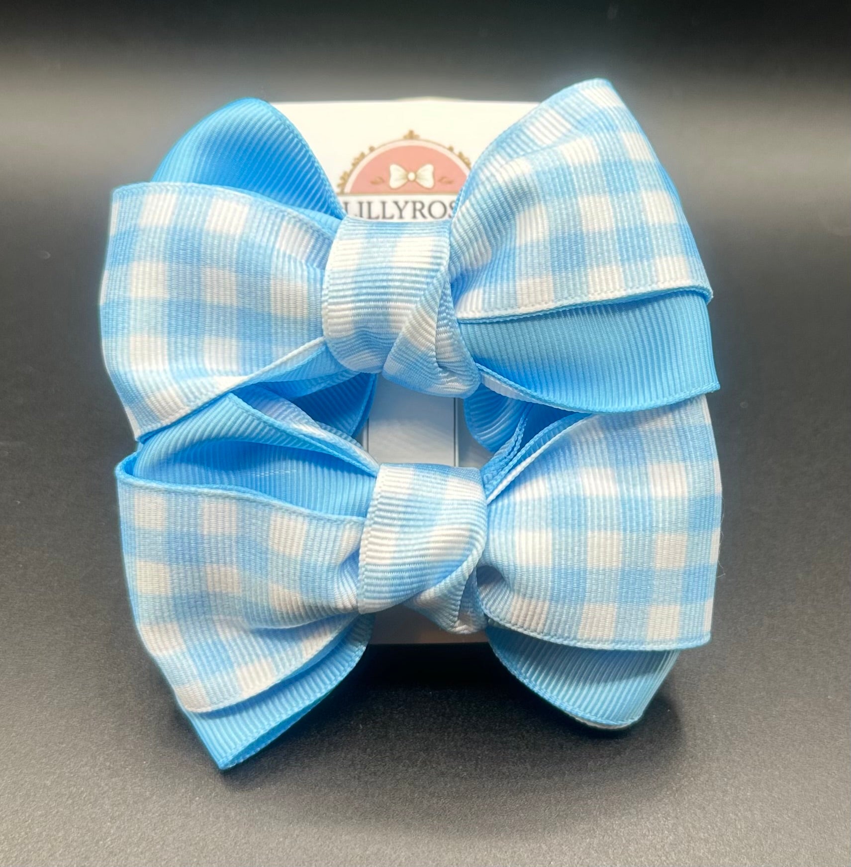 Emmalyn - Blue Gingham Piggies